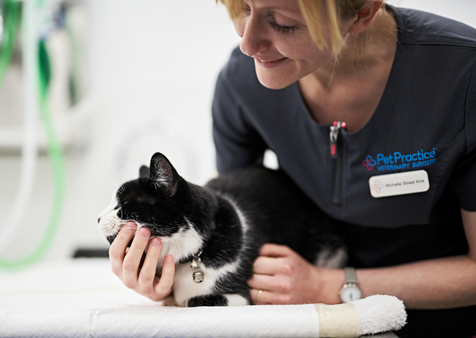 Pet Practice vet and cat