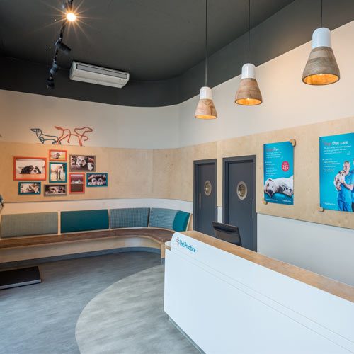 Pet Practice Vet Milton Keynes